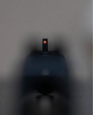 MAX1 SIGHTS